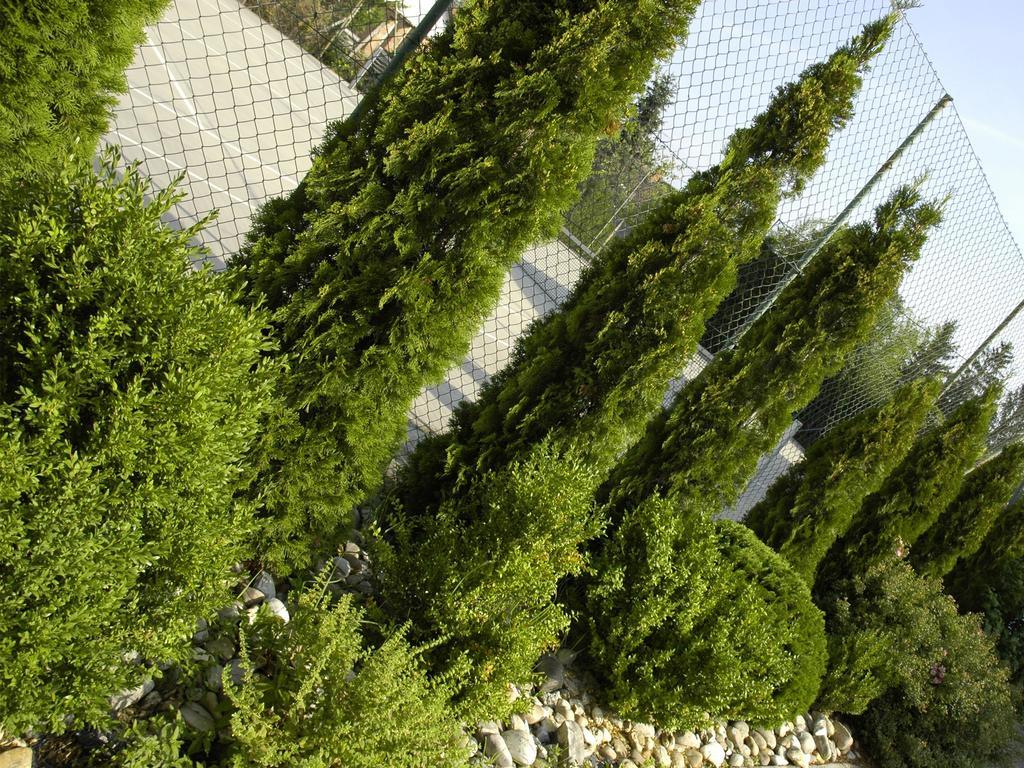 Penzion Fortune Dunajská Streda Εξωτερικό φωτογραφία